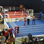 52934116_1549789335165836_1914427757467533312_n